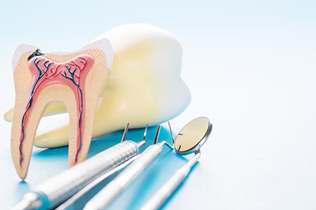 Denise Harburg-Johnson, DDS